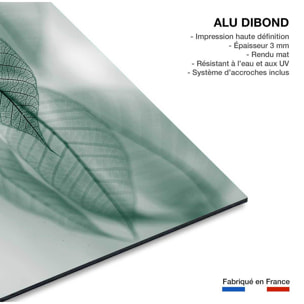 Tableau feuille leaf  Tableau alu Dibond