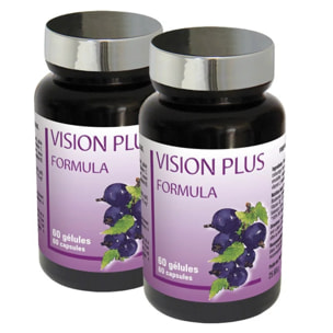 NUTRIEXPERT - Vision Plus - Confort visuel - A base de myrtille 60 gélules végétales - Cure 30 jours - Marque Française - Lot de 2 produits