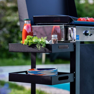 Plancha gaz ENO Combo Initial 65 Inox 3 bruleurs sur chariot, 62x36 cm