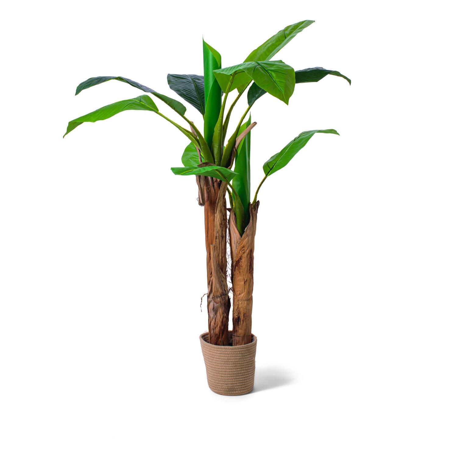 Banana Tree - Pianta Artificiale in vaso H160 cm