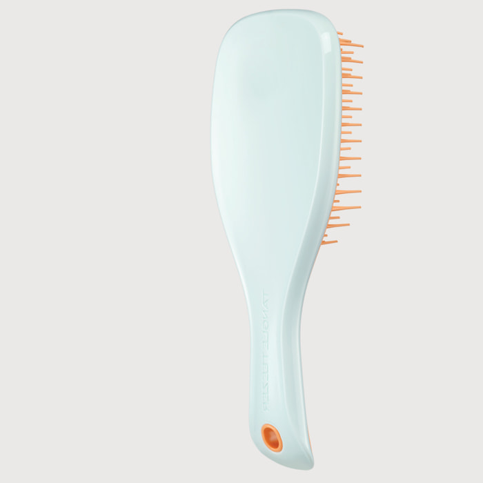 TANGLE TEEZER The Ultimate Detangler MINI Ice Blue & Sweet Orange