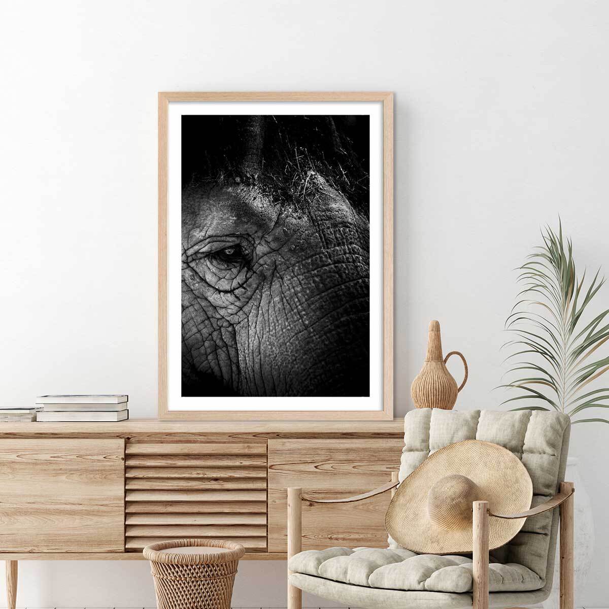 Affiche éléphant close up Affiche + cadre en bois - Chêne