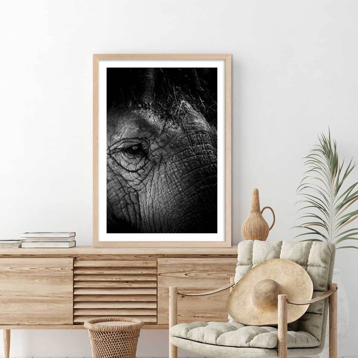Affiche éléphant close up Affiche + cadre en bois - Chêne