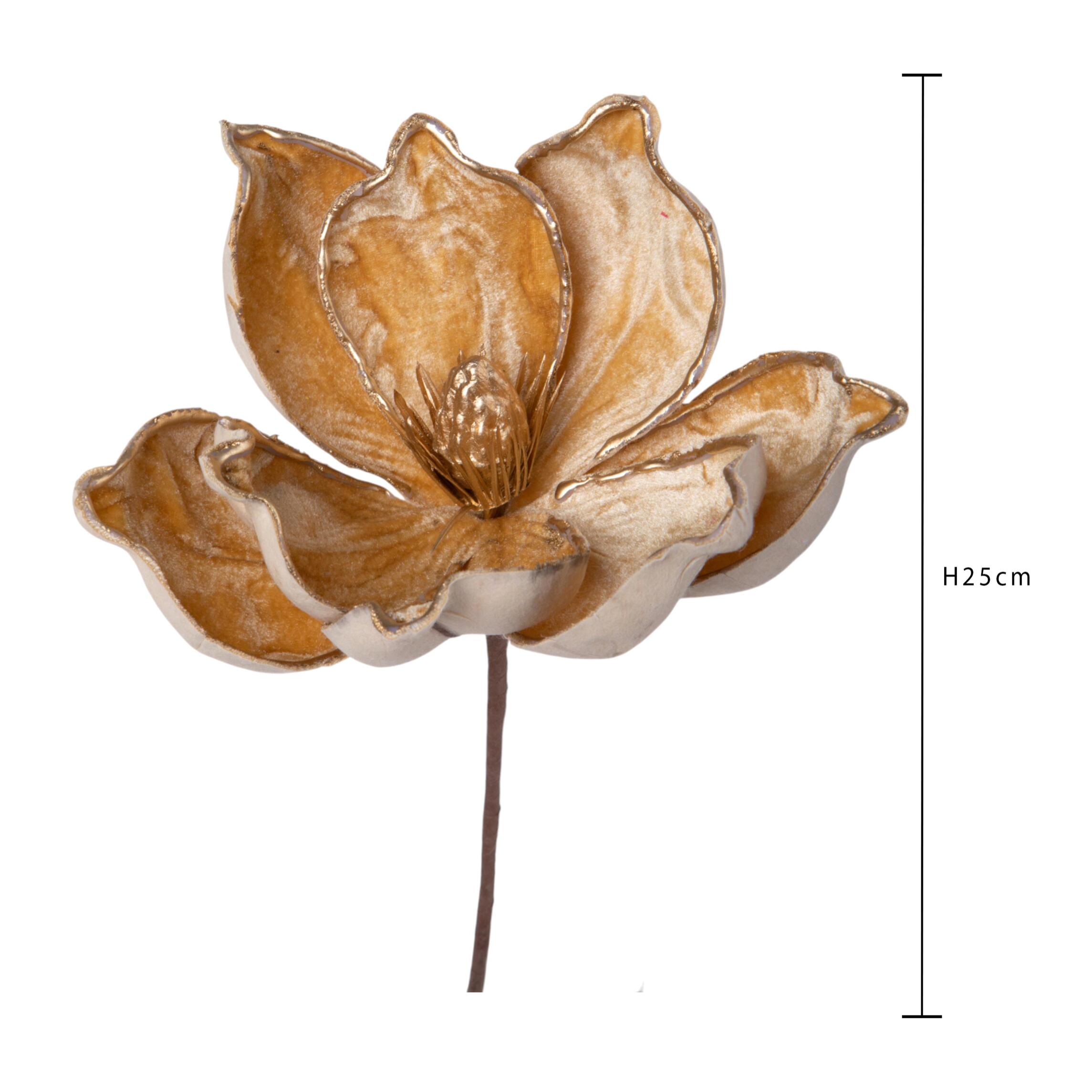 Pick magnolia - Pezzi 12 - 25xH12x25cm - Bianchi Dino SpA