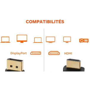 Câble DisplayPort ESSENTIELB display Port 1m50 ecp