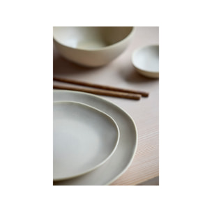 Baguettes chinoises Shoku