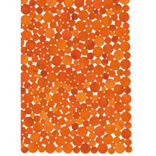 Tapis peau de vache kilim fait main KOKA