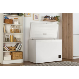 Congélateur coffre GORENJE FH30EAW