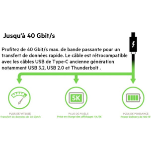 Adaptateur USB C BELKIN USB 4 C 0.80M