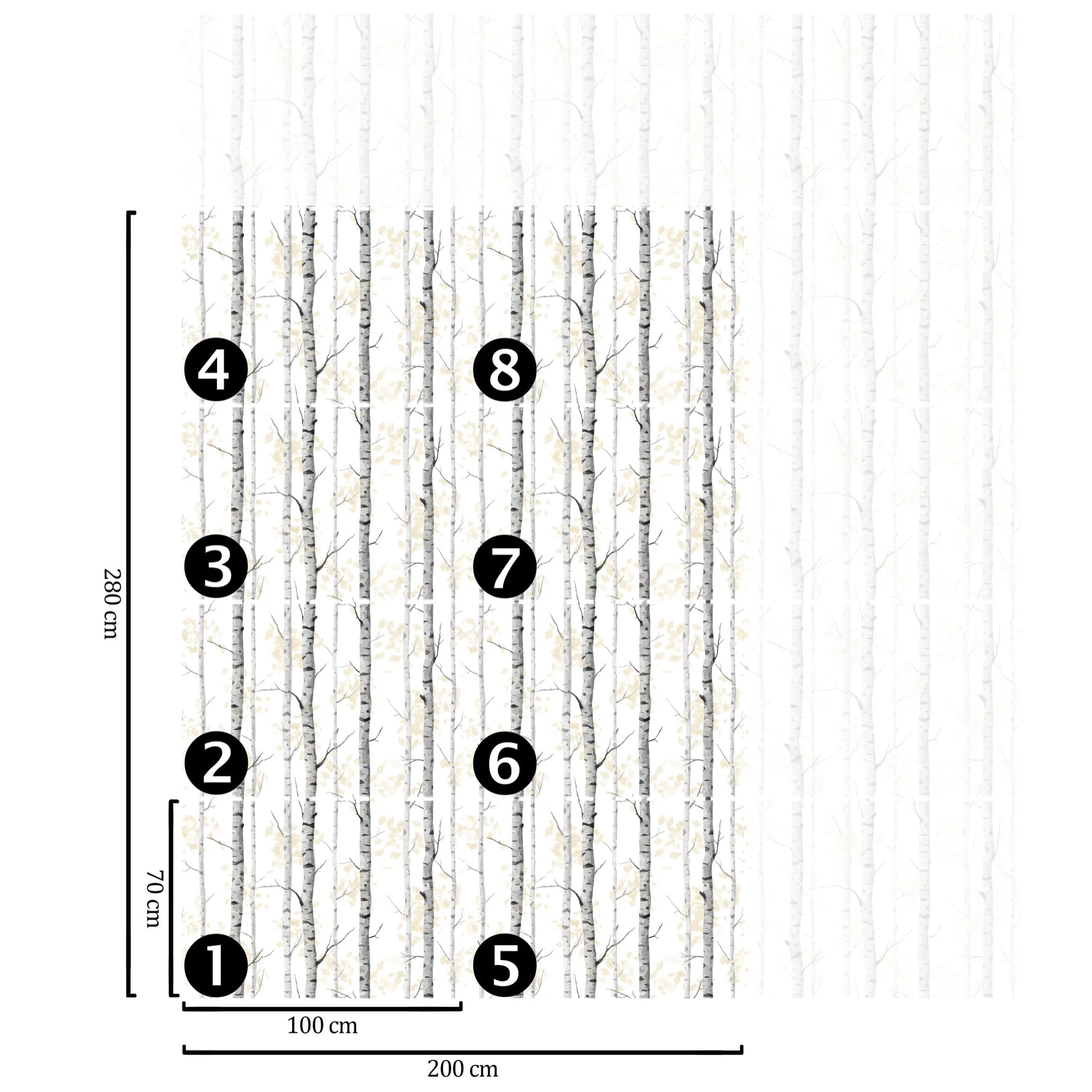 Carta da Parati Bosco di Betulle Bianca e Nera