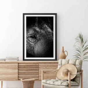 Affiche éléphant close up Affiche sous cadre noir