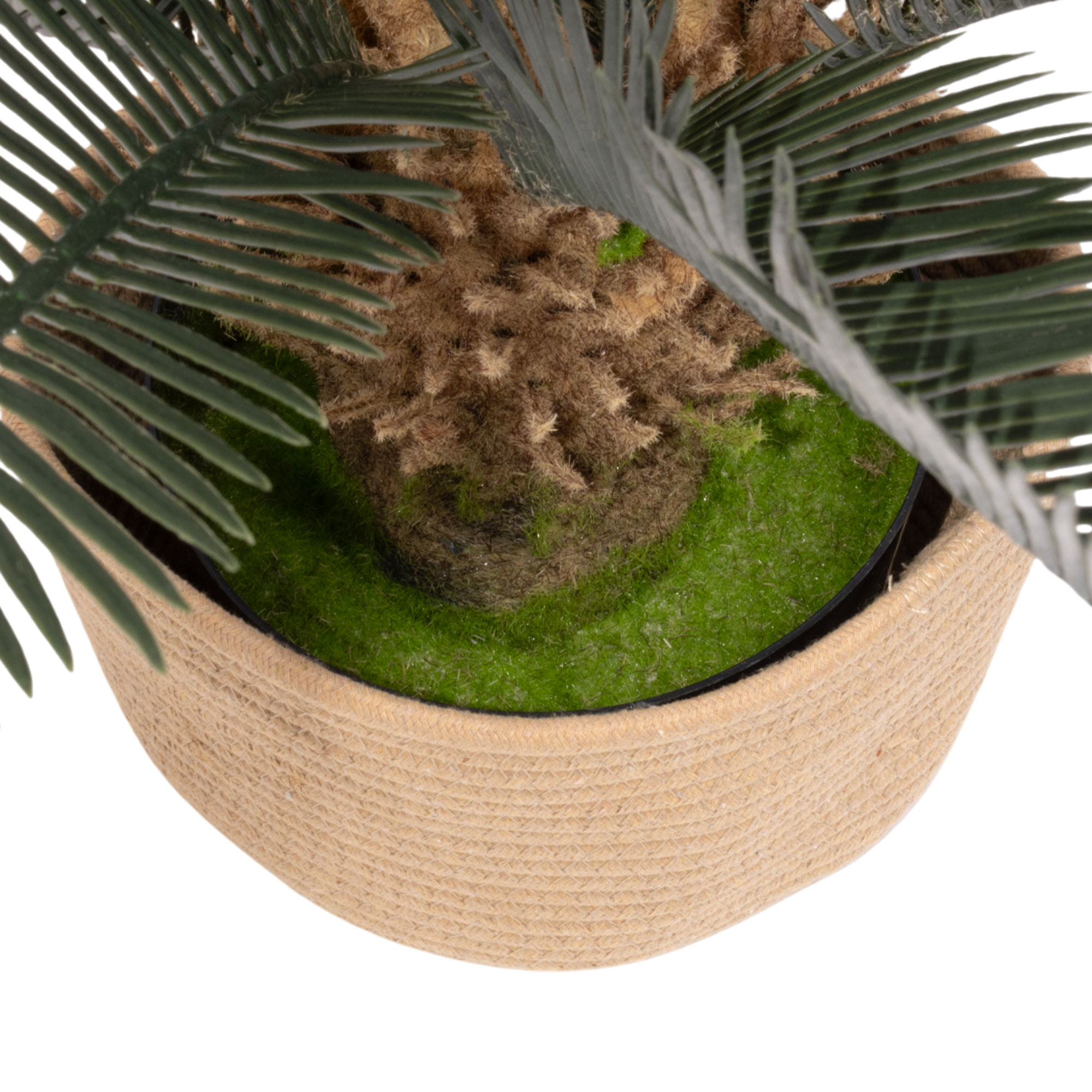 Cycas 85 - Pianta Artificiale Decorativa Tropicale Cycas H85 cm per Interno Esterno con Vaso Beige