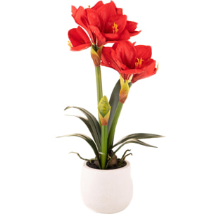 Amaryllis Con Vaso. Altezza 64 Cm - Pezzi 1 - 36X64X25cm - Colore: Rosso - Bianchi Dino - Piante Artificiali