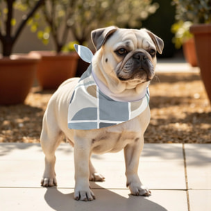 Pack de 2 bandanas pour animaux Peñíscola