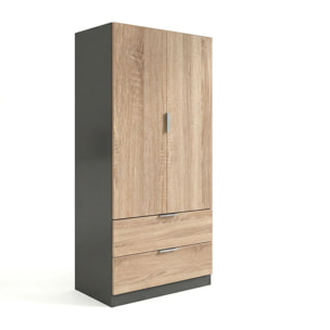 Armario de 2 puertas y 2 cajones en gris grafito y roble canadian 81,5x180 cm Lark Gris Grafito - Roble Canadian