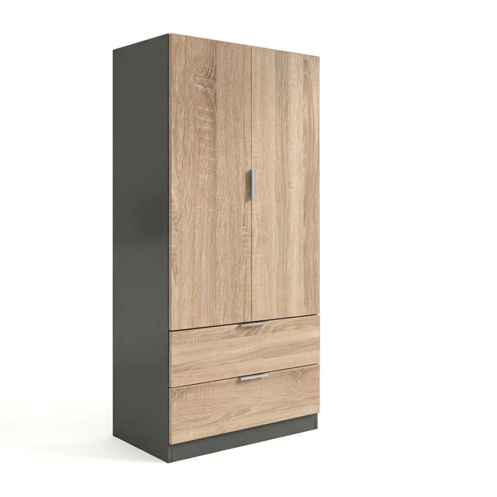 Armario de 2 puertas y 2 cajones en gris grafito y roble canadian 81,5x180 cm Lark Gris Grafito - Roble Canadian