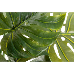 Planta Monstera 110x70x155 Cm