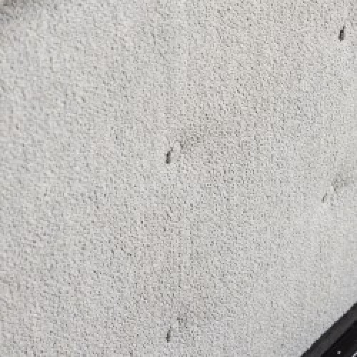 Lit coffre Bouclette| Espace de Stockage jusqu'à 900 L | Grand angle d’ouverture | Tissu | Gris clair