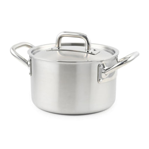 Marmite triplex 28x17cm - Induction