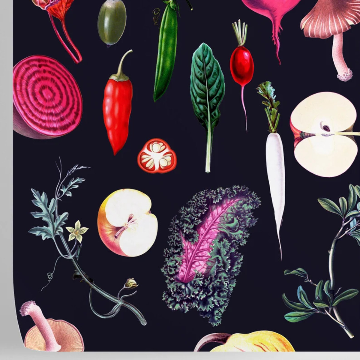 Carta da Parati Cucina