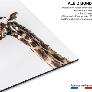 Tableau animaux prendre de la hauteur Tableau alu Dibond