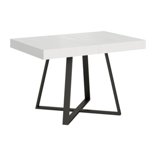 Table extensible 80x120/204 cm Abbraccio frêne blanc pieds anthracite