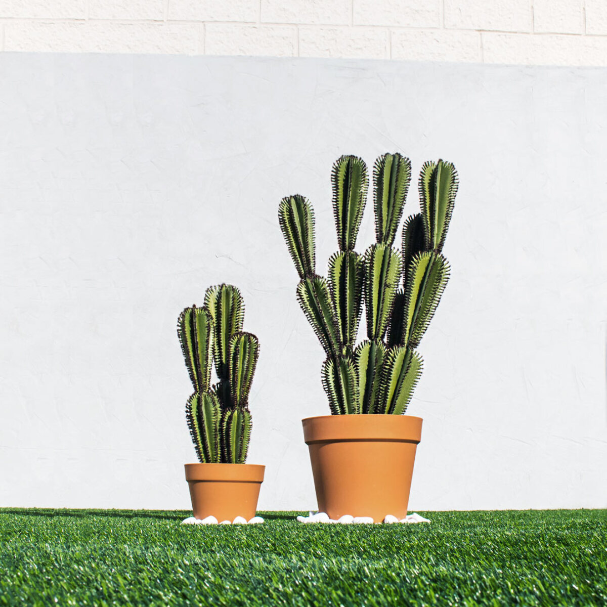 Cactus Artificial Euphorbia Suzannae 90 Cm