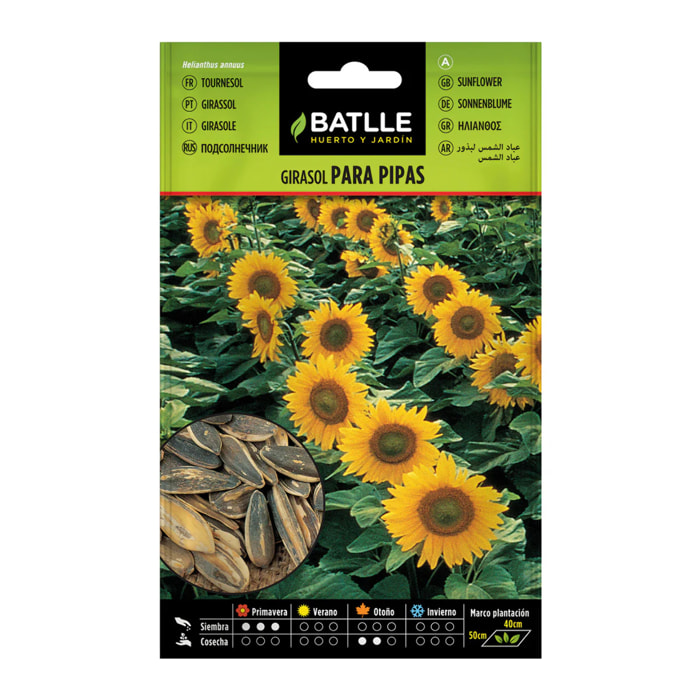Semillas de Girasol para pipas Batlle