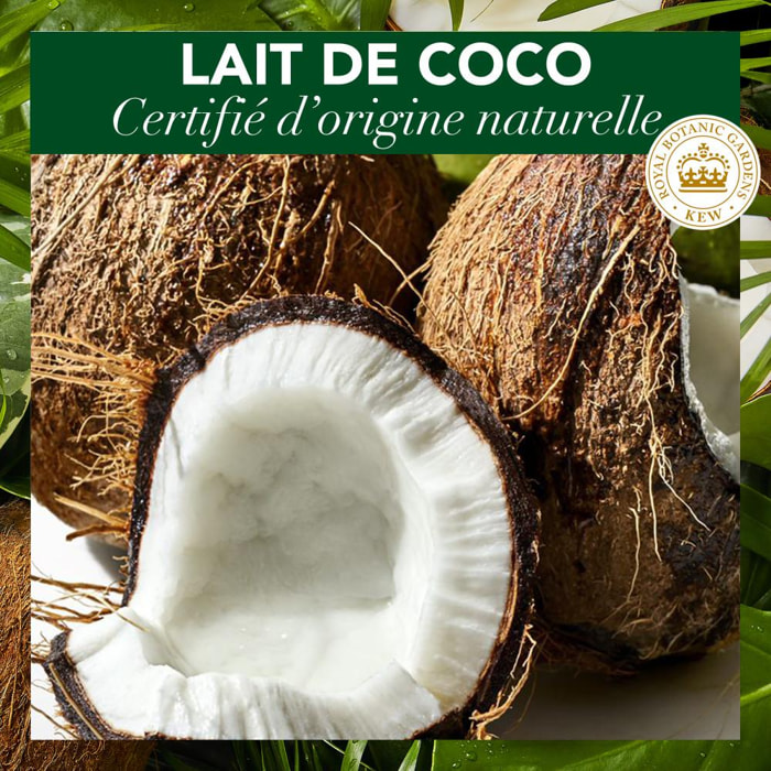 6 Après-Shampoings Lait de Coco 200ml, Herbal Essences