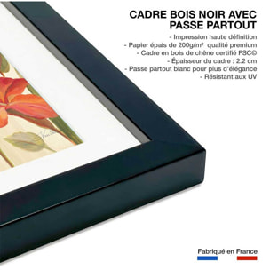 Affiche Oiseaux du paradis en aquarelle Affiche sous cadre noir