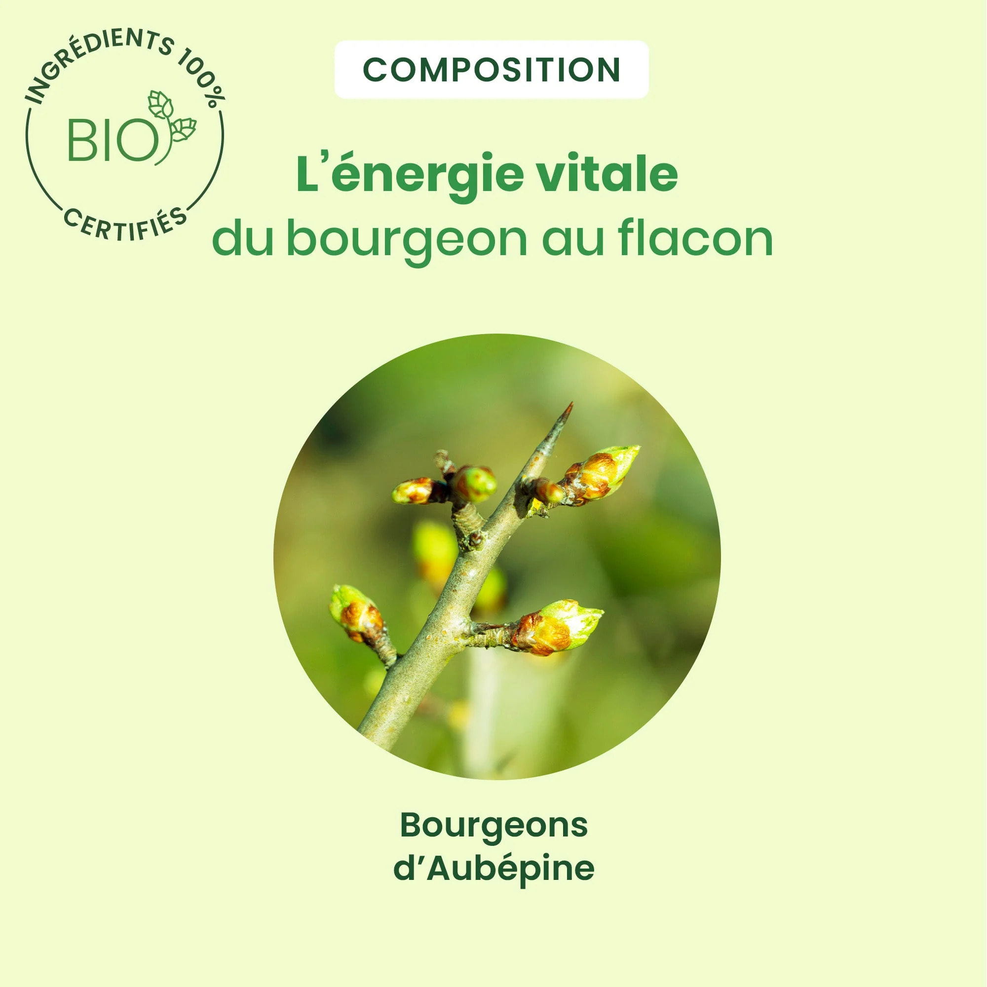 Herbalgem- Bourgeon d'Aubépine - spray - Bio - 15 ml