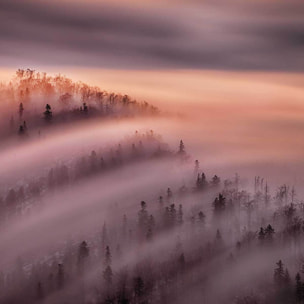 Tableau ciel violet Tableau plexiglas