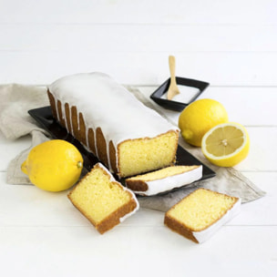 Lot de 2 moules à cake 25,5 cm Zenker Black Metallic