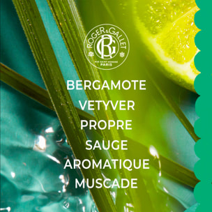 Vétyver - Eau Parfumée Bienfaisante 100ml