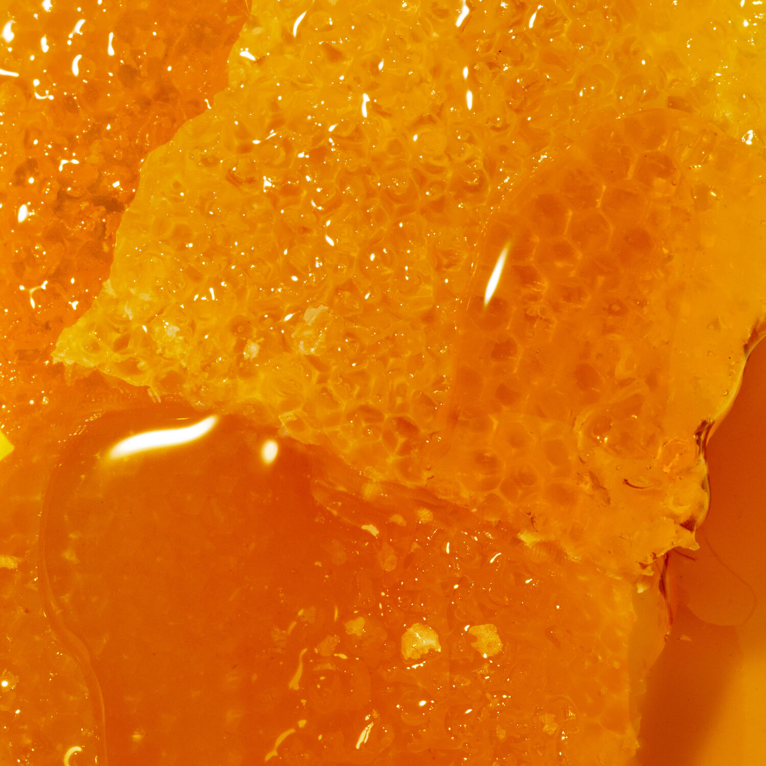 Rêve de Miel - Gel lavant surgras visage et corps - Peaux sèches et sensibles -