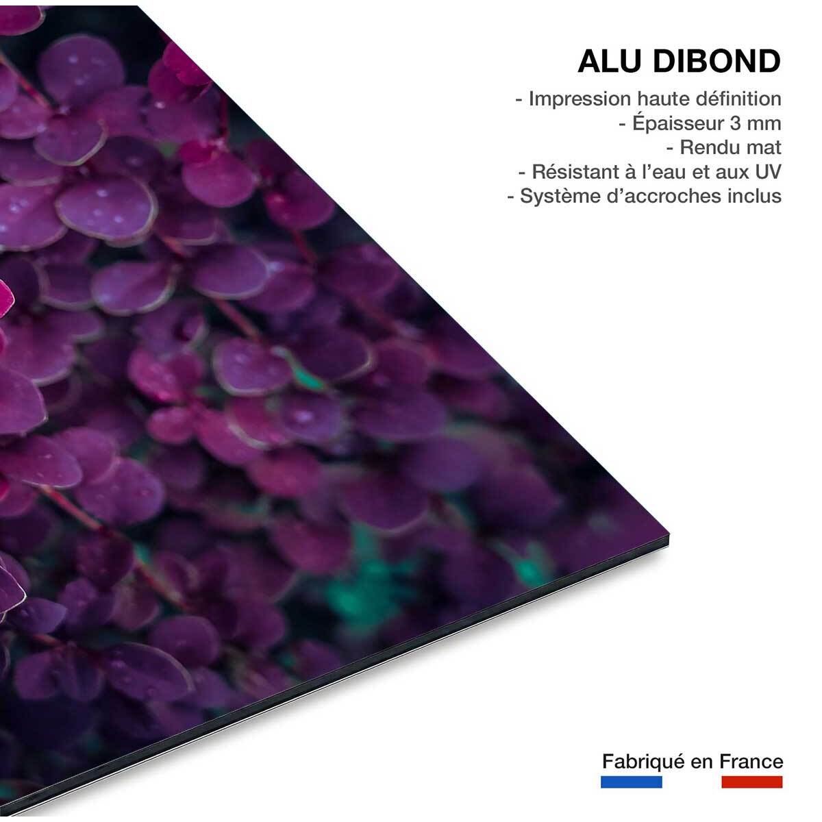 Tableau fleurs de lilas au printemps Tableau alu Dibond