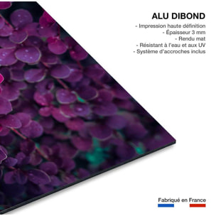 Tableau fleurs de lilas au printemps Tableau alu Dibond