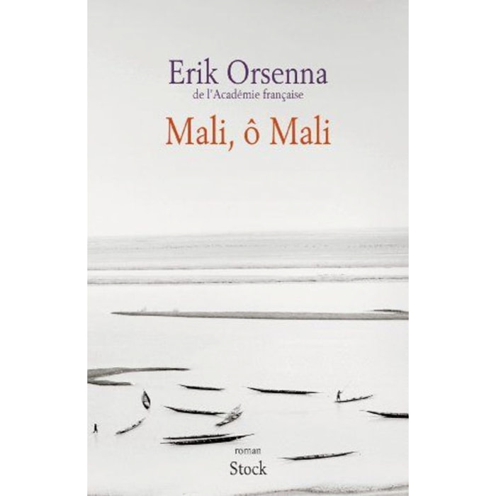 Orsenna, Erik | MALI O MALI | Livre d'occasion