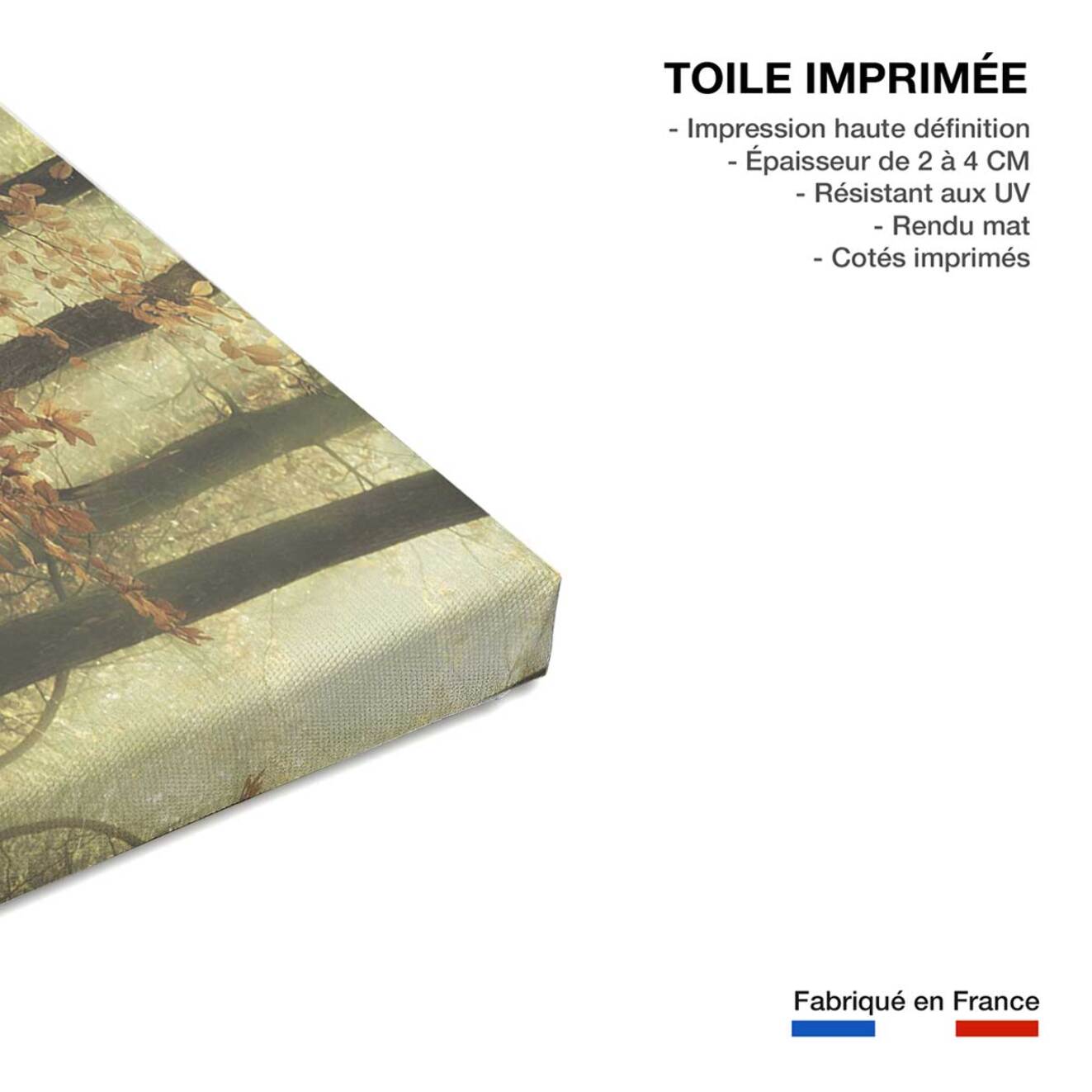 Tableau Feuilles d'automne Toile imprimée