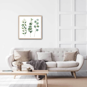 Affiche aquarelle eucalyptus Affiche + cadre en bois - Chêne