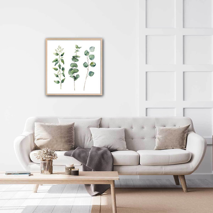 Affiche aquarelle eucalyptus Affiche + cadre en bois - Chêne