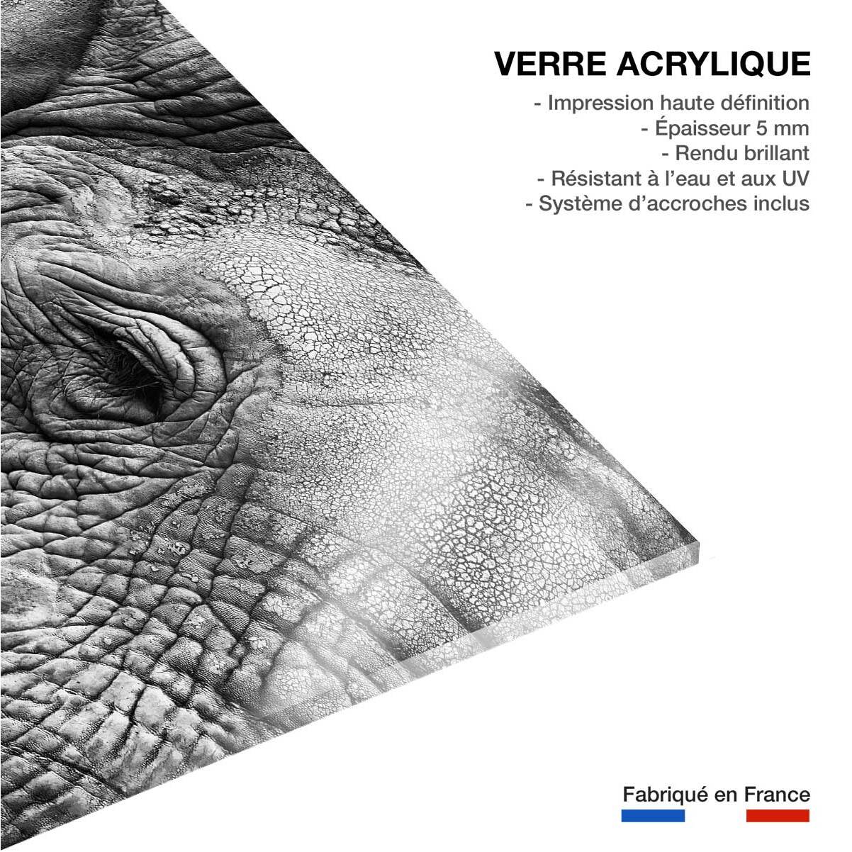 Tableau animaux Peau d'éléphant Tableau plexiglas