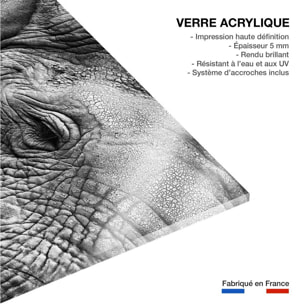 Tableau animaux Peau d'éléphant Tableau plexiglas