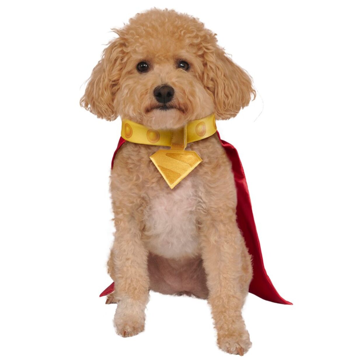 KRYPTO PET COSTUME