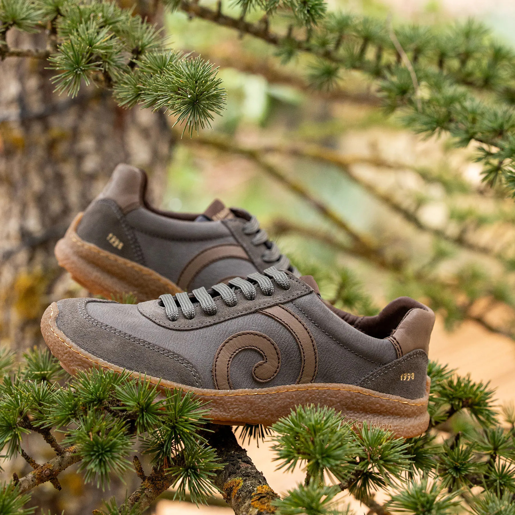 Zapatos N5435 MULTI LEATHER GREY/OROEL color Grey