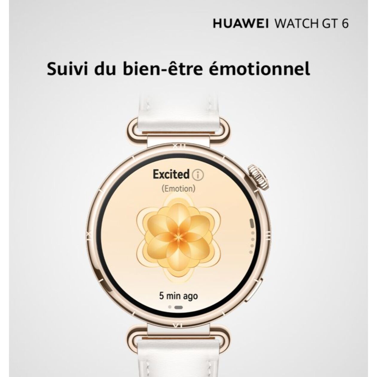 Montre connectée HUAWEI Pack Watch GT6 46mm Vert+FreeBuds6I Blanc