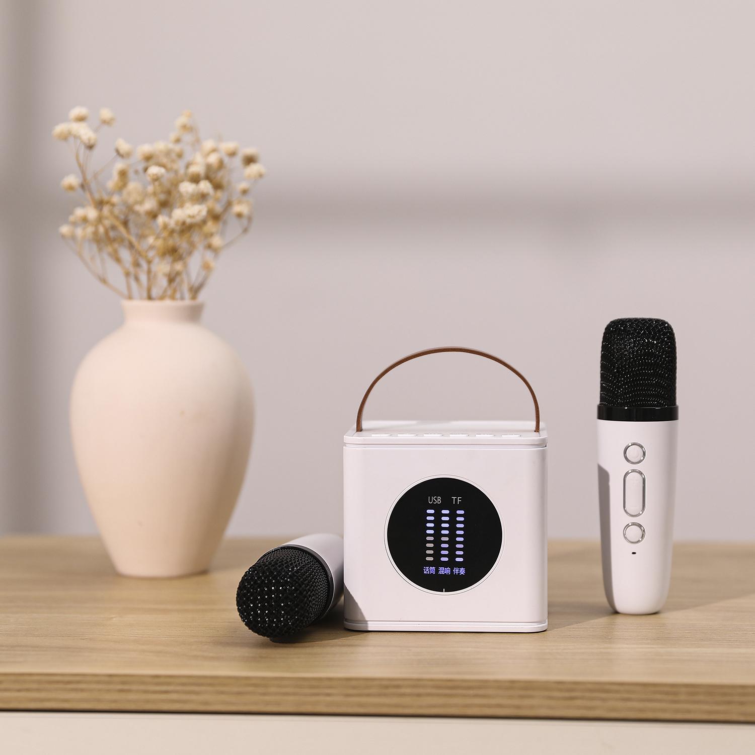 Kit Karaoke Bluetooth con altoparlante e 2 microfoni. 10 W, batteria integrata.