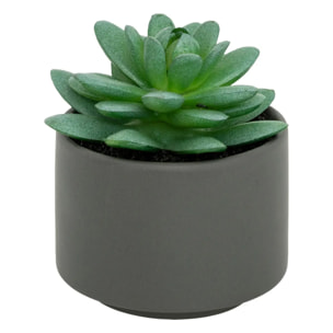 Plante grasse artificielle - pot en céramique - H13 cm