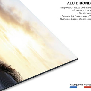 Tableau dune au vent Tableau alu Dibond
