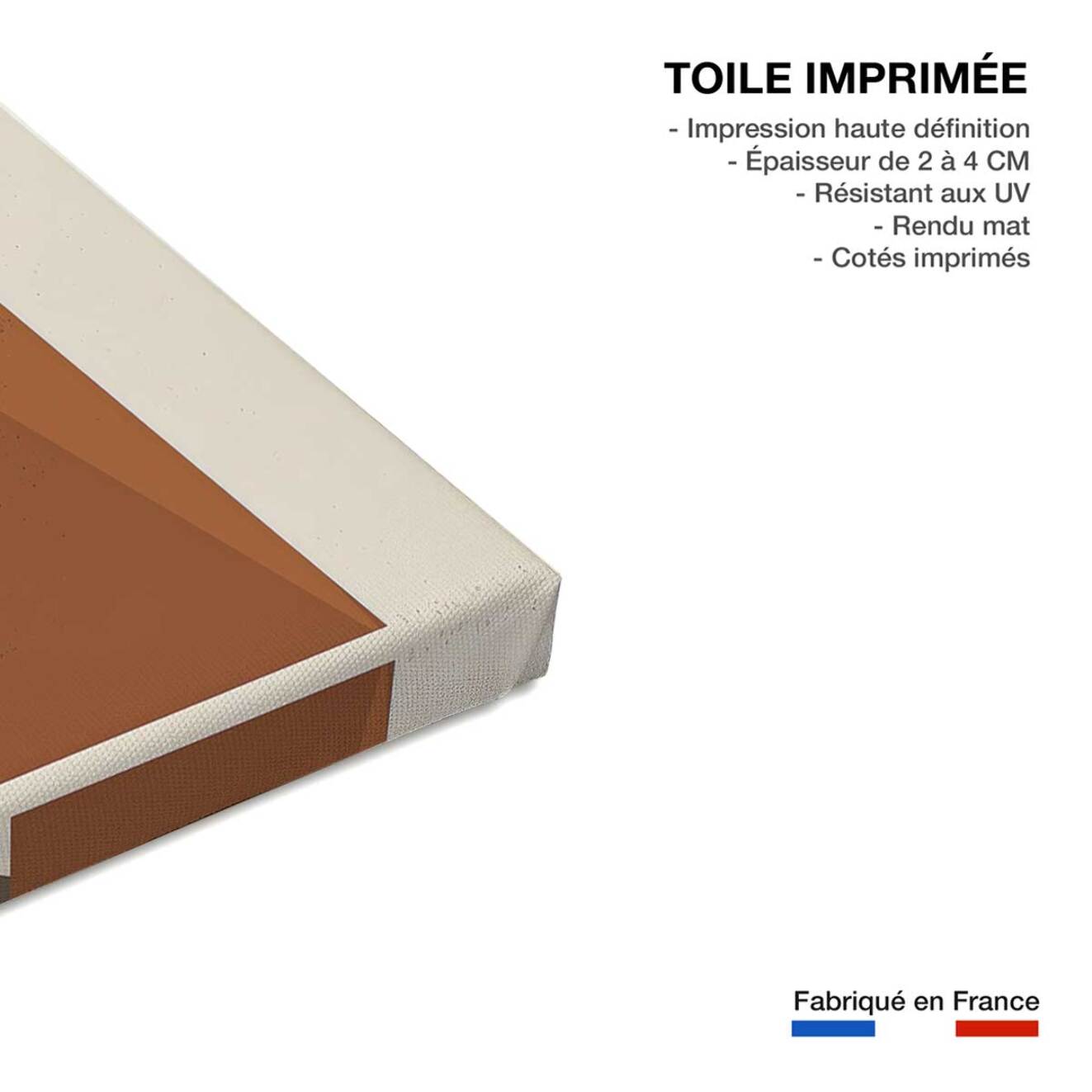 Tableau de fleurs vases geometriques  Toile imprimée